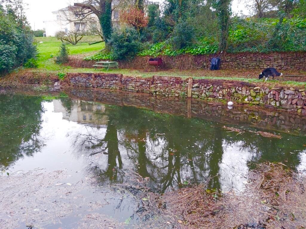 The pond in winter
